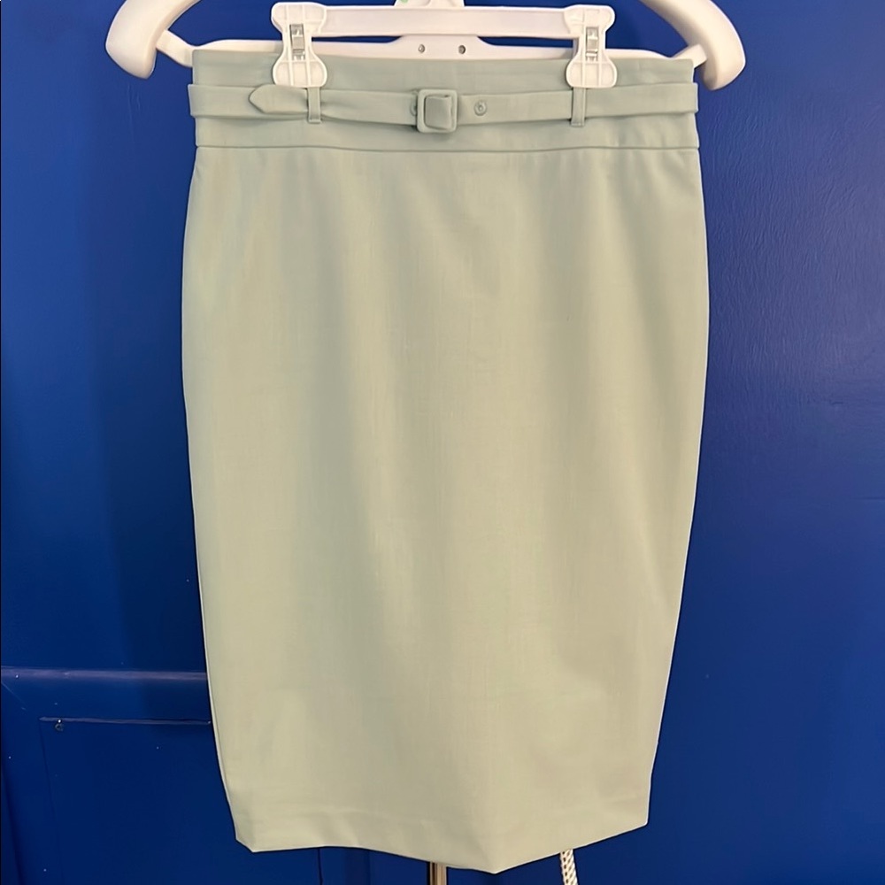 Ann Taylor Elegant Mint/Light Blue Green Pencil Skirt